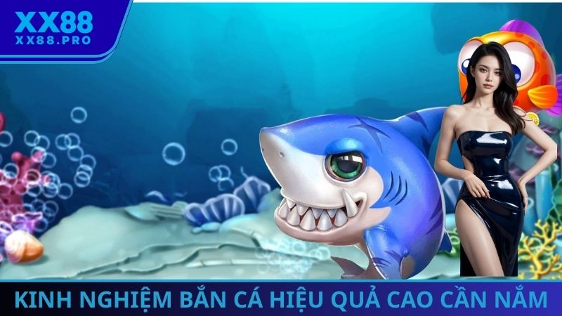 Kinh nghiệm bắn cá hiệu quả cao cần nắm